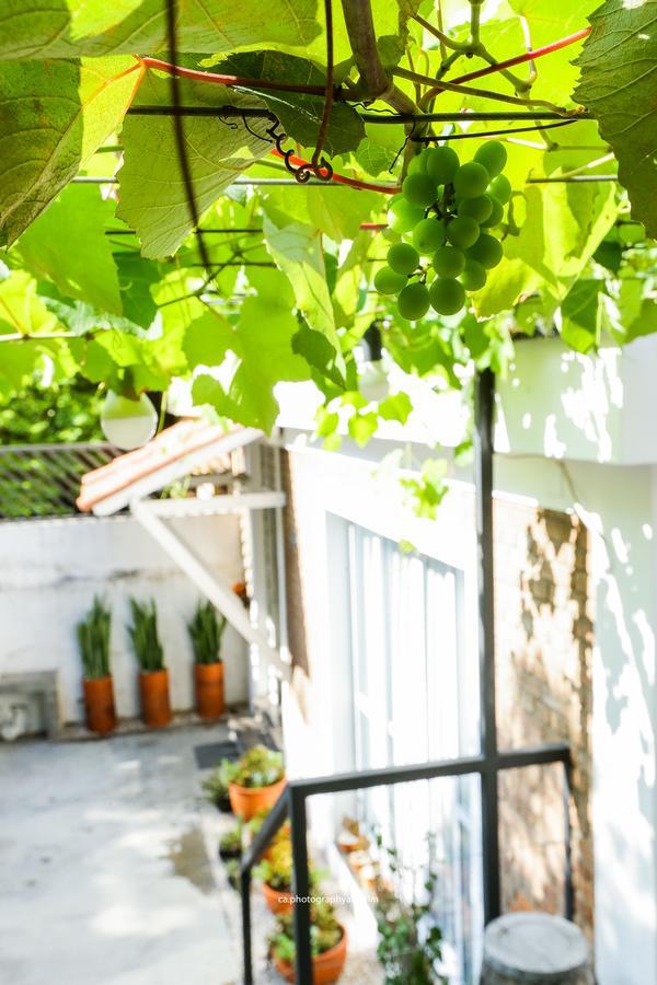 Hostel Grape Wine São Paulo Zewnętrze zdjęcie