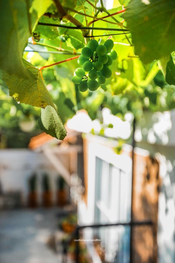 Hostel Grape Wine São Paulo Zewnętrze zdjęcie